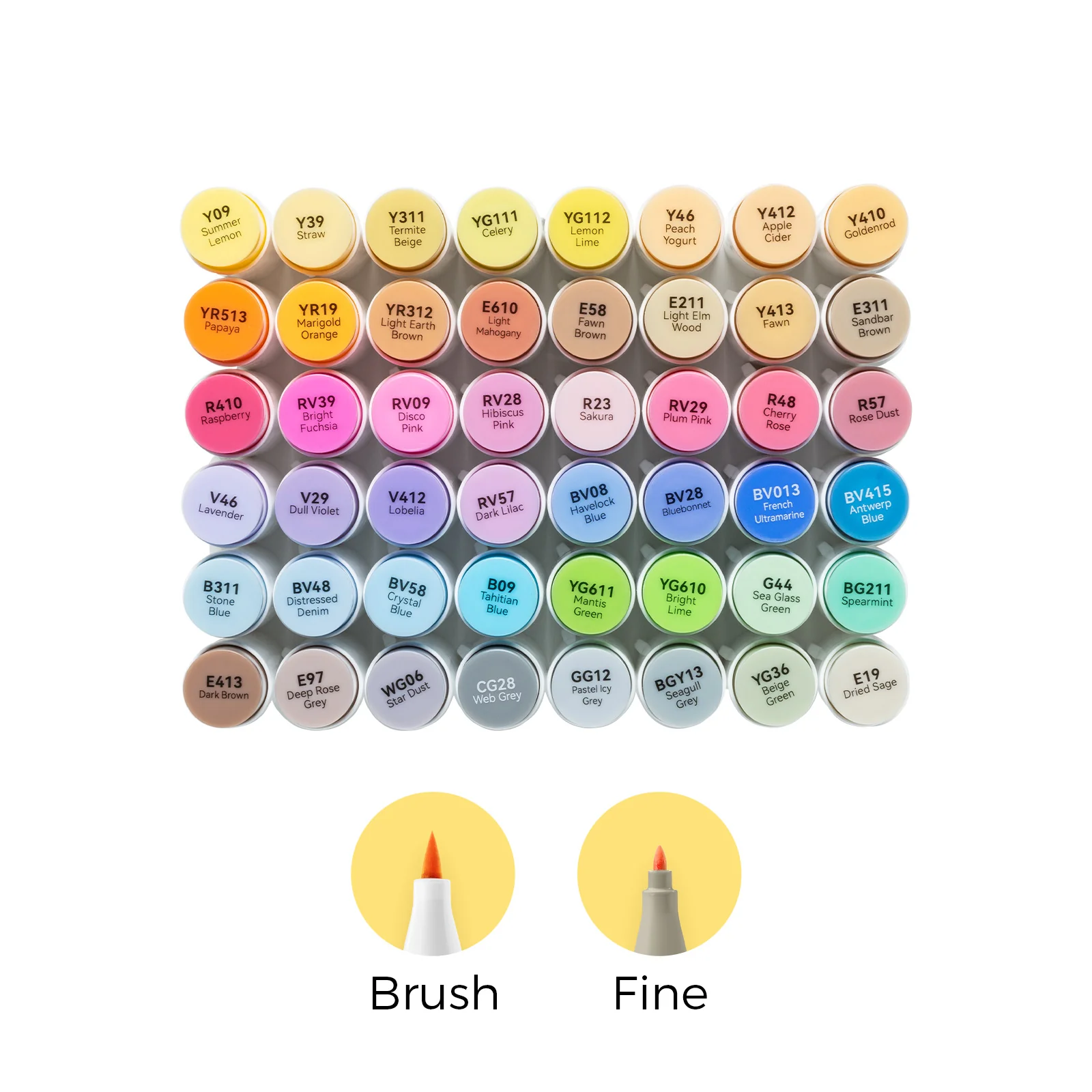 Brush & Fine