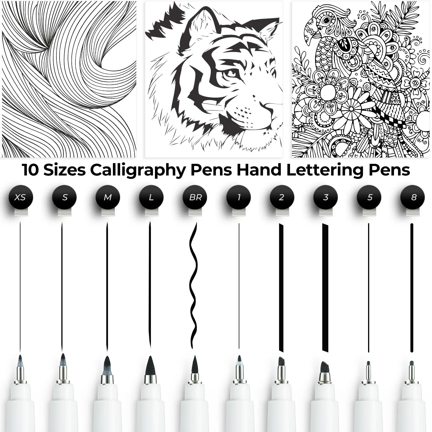Ohuhu Calligraphy Pens, Brush Chisel Fine 10 Size Tips (Canada Domestic Shipping)
